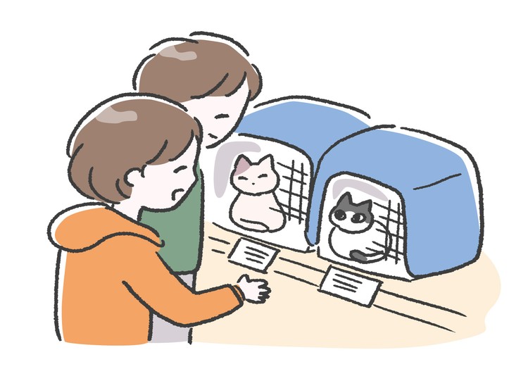 保護猫の里親募集